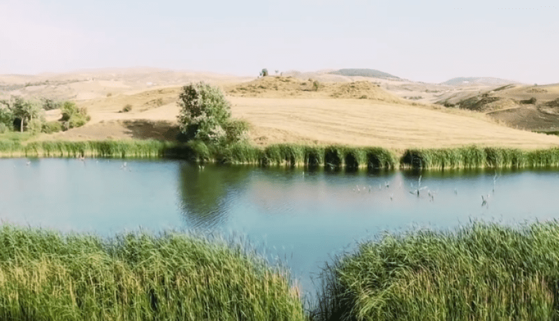 سطيف.. البحث عن غريق في سد بوعمران