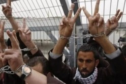 بينهم 250 طفلا.. 9300 معتقل في سجون الاحتلال الصهيوني