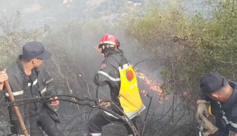 الحالة العامة لحرائق الغطاء النباتي عبر ولايات الوطن