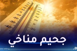 العام الأكثر سخونة.. حرارة 2024 تفتك بالأرض