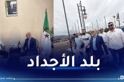 بالصور.. بن زيمة يصل إلى الجزائر