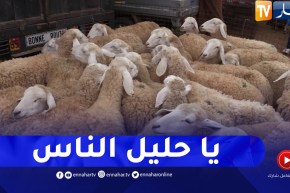 ساعات قبل العيد..إقبال كبير على الأسواق والأسعار تأبى الإنخفاض