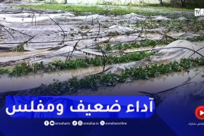 خسائر الفلاحين..أين هو دور الصندوق الوطني للتعاون الفلاحي؟