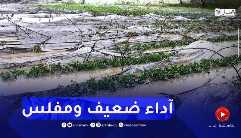 خسائر الفلاحين..أين هو دور الصندوق الوطني للتعاون الفلاحي؟