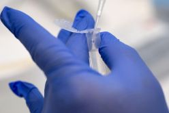 تتسبب في وفاة شخص.. اكتشاف أول إصابة بشرية بأنفلونزا الطيور H5N2