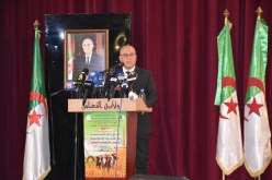 النعامة..آفاق واعدة للاستثمار في الزراعات والسلالات المحلية