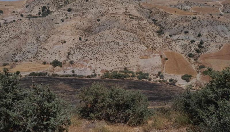 سوق أهراس: حريق غابة ومحصول زراعي