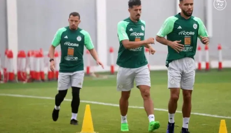 قندوسي مرشح لمزاملة بونجاح في الشمال القطري