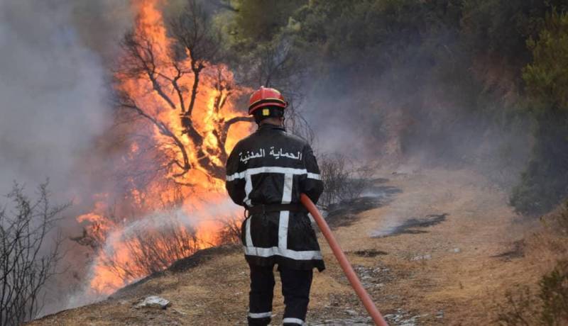 إندلاع عدة حرائق في هذه الولايات