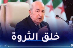 رئيس الجمهورية: لكل جزائري الحرية الكاملة في الإستثمار