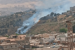 إندلاع حريق غابة في سوق أهراس