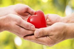 الحياة أقصر من أن لا نعيشها بحب