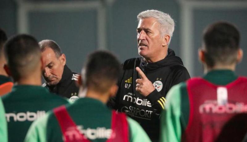 بيتكوفيتش: “علينا تحمل مسؤولياتنا كمنتخب مرشح”