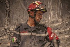 تسجيل حرائق غابات وأدغال عبر عدة ولايات