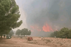 إندلاع حريق غابة بجبل سيدي رغيس في أم البواقي