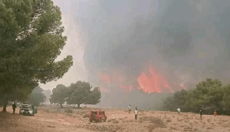 إندلاع حريق غابة بجبل سيدي رغيس في أم البواقي