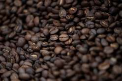 الزهايمر: دراسة تؤكد فائدة الكافيين في علاج المرض