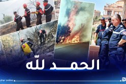 إخماد جميع حرائق الغابات بتيزي وزو