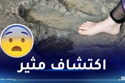 بالتفاصيل.. العثور على آثار أقدام ديناصور في أحد الشواطئ