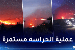 سطيف.. محاصرة حريق أحراش بجبل مقرس ومنعه من الانتشار