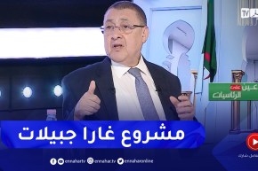 إبراهيم مراد: المترشح الحر عبد المجيد تبون كانت له الشجاعة في إطلاق مشروع غارا جبيلات