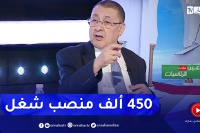 مراد : المترشح عبد المجيد تبون يتعهد بخلق 450 ألف منصب شغل في حالة إعادة انتخابه