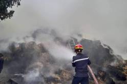 هذه الحالة العامة لحرائق الغطاء النباتي