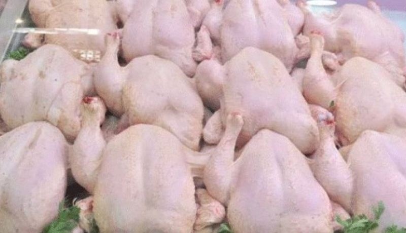الدجاج بـ 295 دينار للكيلوغرام بداية من الغد في هذه الأماكن