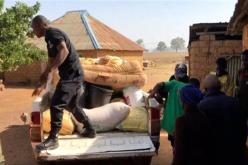 تحذير أممي: إنتشار الجماعات المسلحة يهدّد حياة ملايين الأطفال في شمال نيجيريا