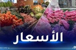 هذه أسعار اللحوم والخضر والفواكه اليوم