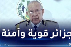 شنقريحة: الشعب والجيش الوطني مصمّمون على البقاء صفا واحدا وحصنا منيعا