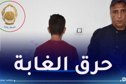 توقيف شخص أضرم النار عمدا في مساحة غابية بباتنة