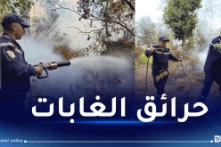 إندلاع 13 حريقا بهذه الولايات