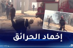 تخصيص 10 طائرات قاذفة للمياه.. تسجيل 31 حريقا خلال 24 ساعة
