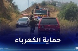 سونلغاز تتدخل لتأمين المناطق المتضررة من حرائق الغابات بتيزي وزو و بجاية