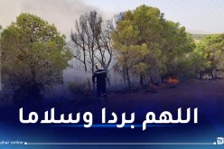 هذه حالة الحرائق عبر الوطن صباح اليوم