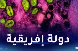 لأول مرة.. جدري القردة يصل إلى هذه الدولة