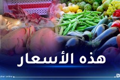 الدجاج بـ486 دج.. هذه أسعار اللحوم والخضر اليوم