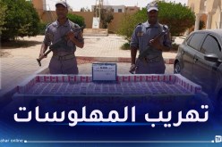 حجز 8400 كبسولة مهلوسة بالوادي