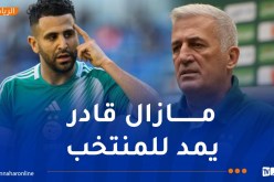 بيتكوفيتش: “محرز أكد لي جاهزيته وبامكانه تقديم الكثير للمنتخب ولاعبينا الشبان”