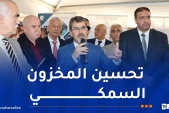 بداني: وضع أجهزة تقنية ملائمة لتسيير حصيلة الصيد ومراقبة الإنتاج