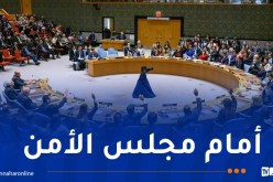 الجزائر تجدد مطالبتها بوقف إطلاق النار بغزة