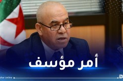 شرفة مخاطبا محافظي الغابات: تأخرتم في تجسيد مشروع السد الأخضر وحسابي معكم قريبا