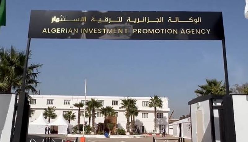 إستحداث أزيد من 220 ألف منصب عمل مباشر من خلال المشاريع الإستثمارية المسجلة