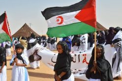 كونفدرالية النقابات الاسبانية تُدين الموقف الفرنسي بخصوص الصحراء الغربية