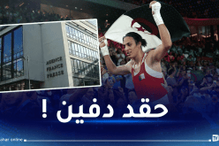وكالة الأنباء الفرنسية تقع في المحظور وتنضم لقطيع الحاقدين على إيمان خليف