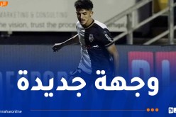 هال سيتي يسارع الزمن للظفر بخدمات بلومي