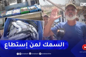 تيبازة : إرتفاع جنوني في أسعار السمك .. النهار تتحرى الأسباب