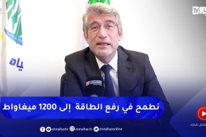 فياض : منظومة الطاقة في لبنان ستتطور من 600 إلى 1200 ميغاواط بفضل الفيول الجزائري