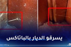 القبض على 3 جزائريين يسرقون المنازل بطريقة لا تخطر على البال